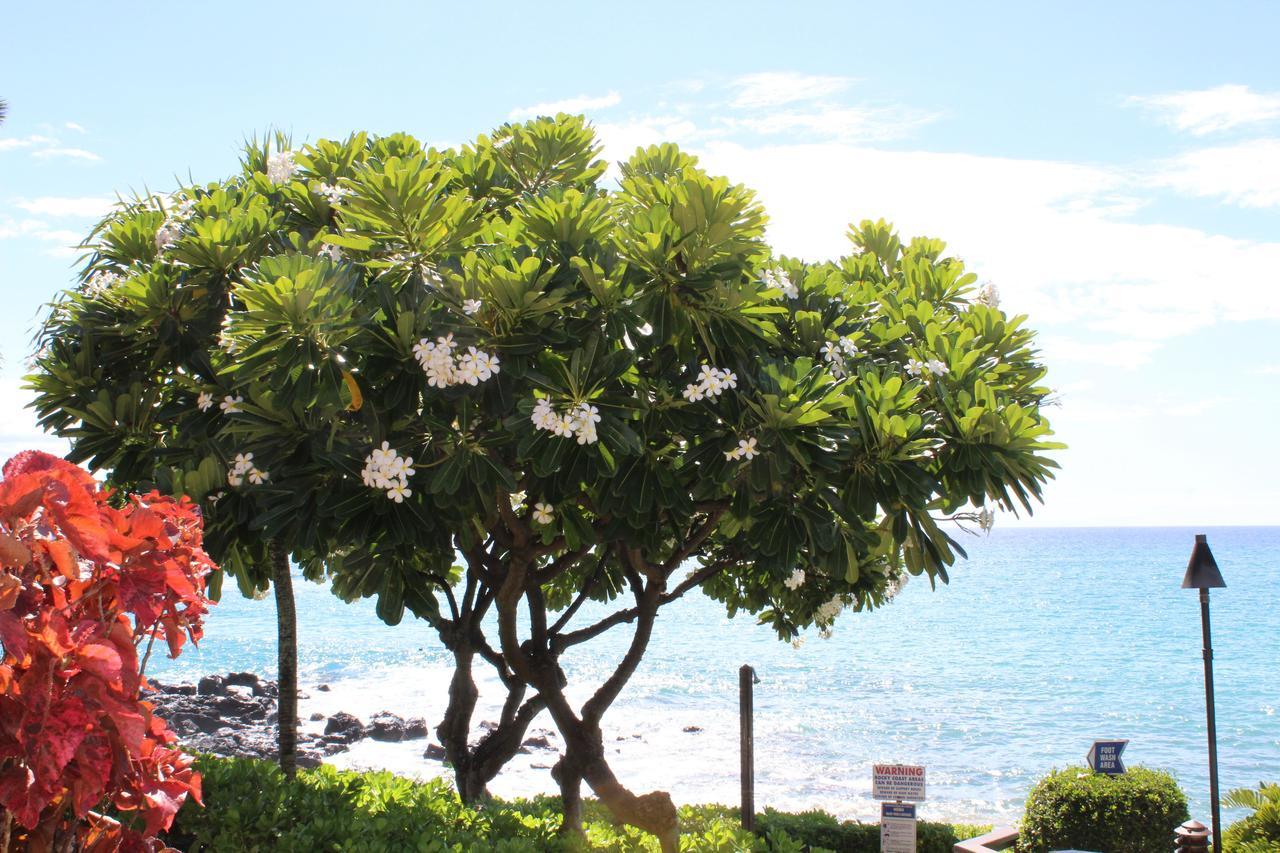 Kuleana Resort 618 Lahaina Exterior foto